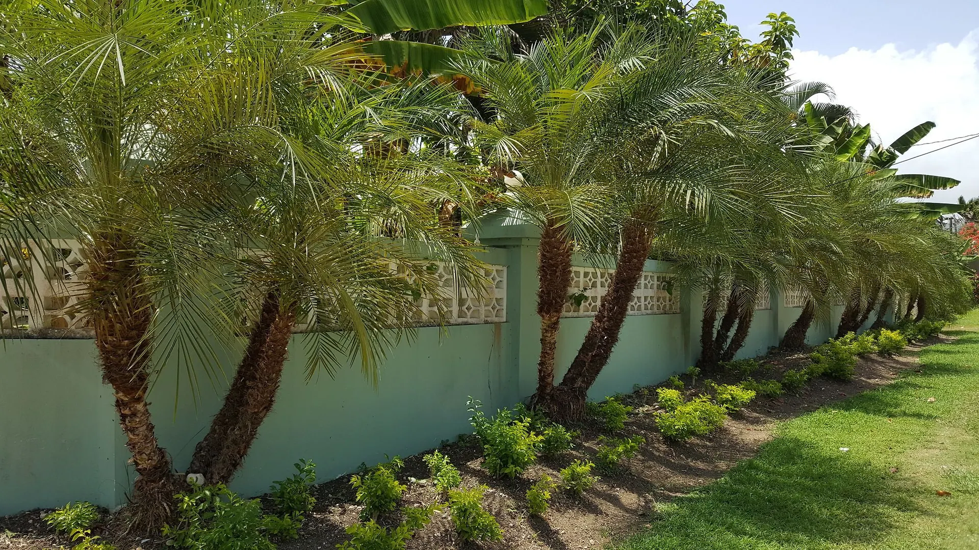 Ocho Rios Villa At Coolshade III Saint Ann's Bay